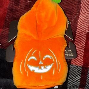 Pumpkin pet Hoodie Costume